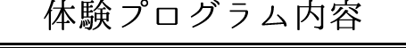 体験プログラム内容